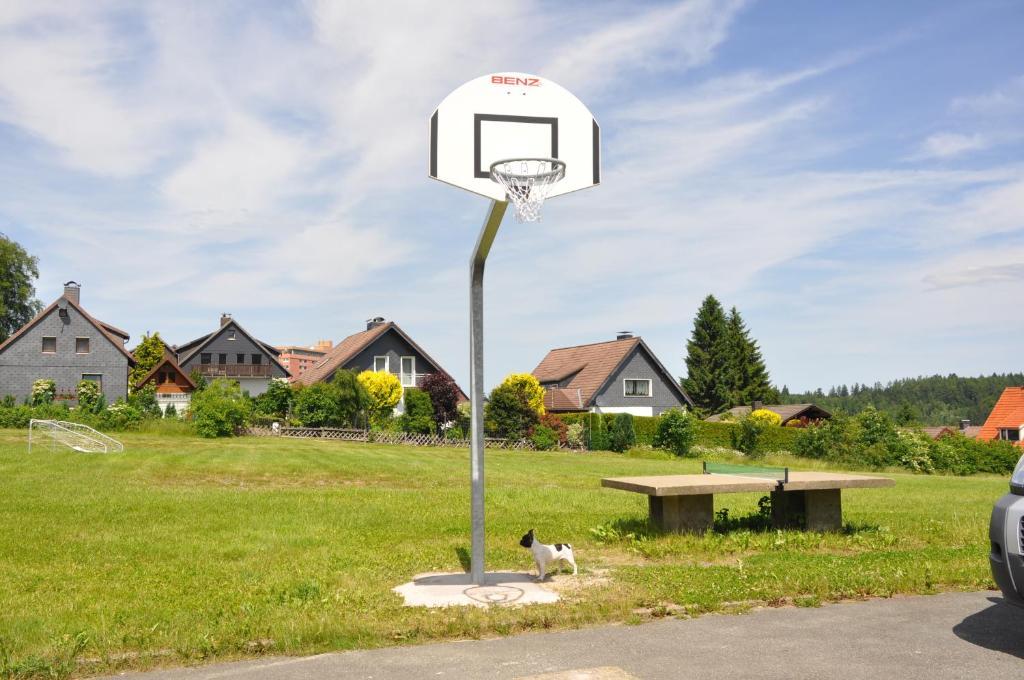 Hotel & Hostel Drei Baren Altenau  Zewnętrze zdjęcie